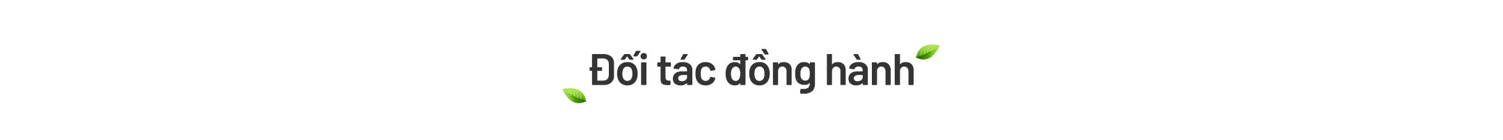 Text1 Doi tac dong hanh